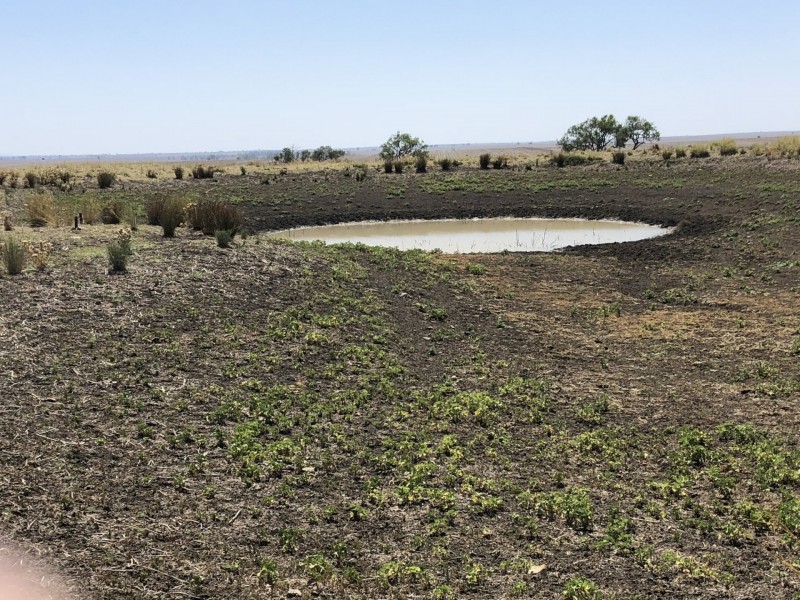 ‘South Pic Massey Lane, Muckadilla QLD 4461