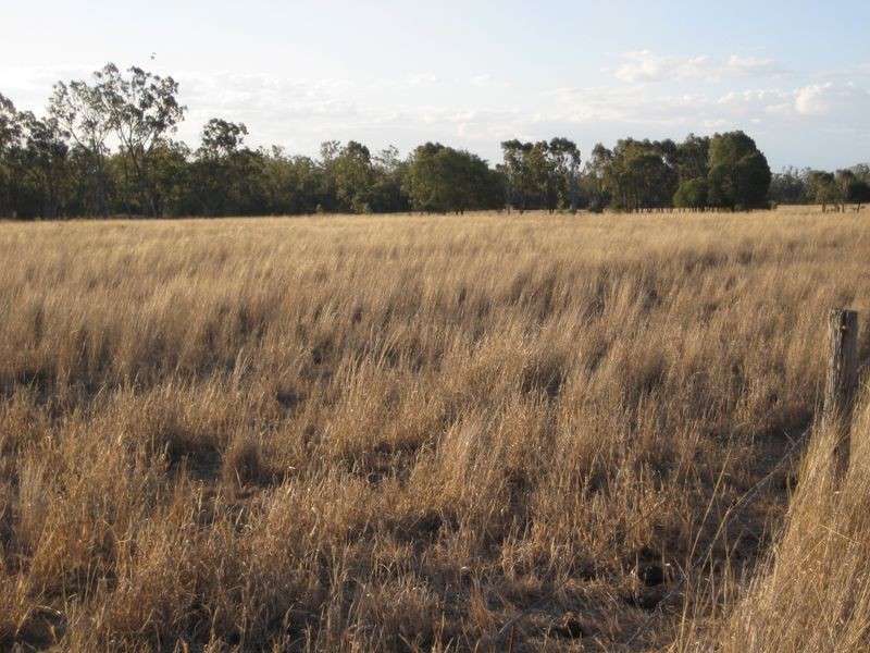 , Wallumbilla QLD 4428