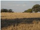 , Wallumbilla QLD 4428