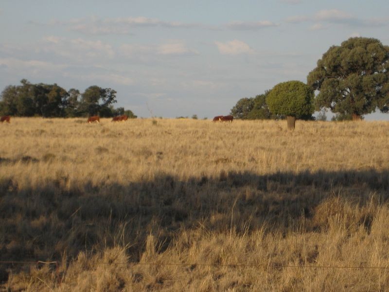 , Wallumbilla QLD 4428