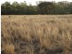 , Wallumbilla QLD 4428