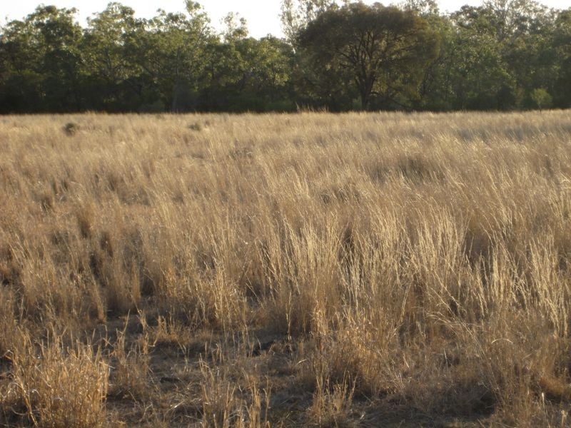 , Wallumbilla QLD 4428