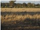 , Wallumbilla QLD 4428