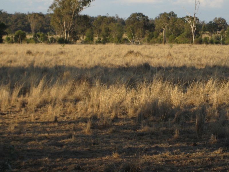 , Wallumbilla QLD 4428