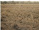, Wallumbilla QLD 4428