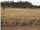 , Wallumbilla QLD 4428