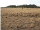, Wallumbilla QLD 4428