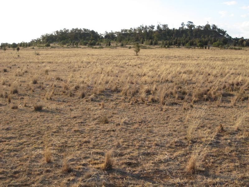 , Wallumbilla QLD 4428