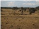 , Wallumbilla QLD 4428