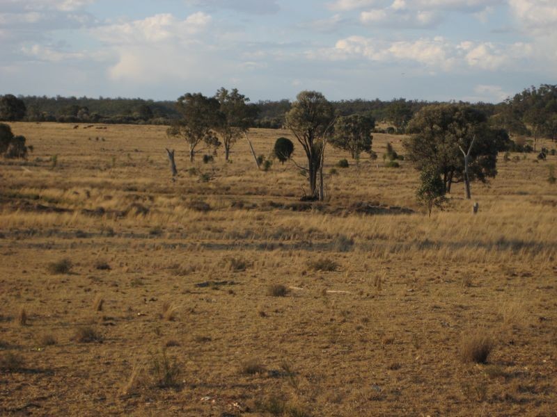 , Wallumbilla QLD 4428