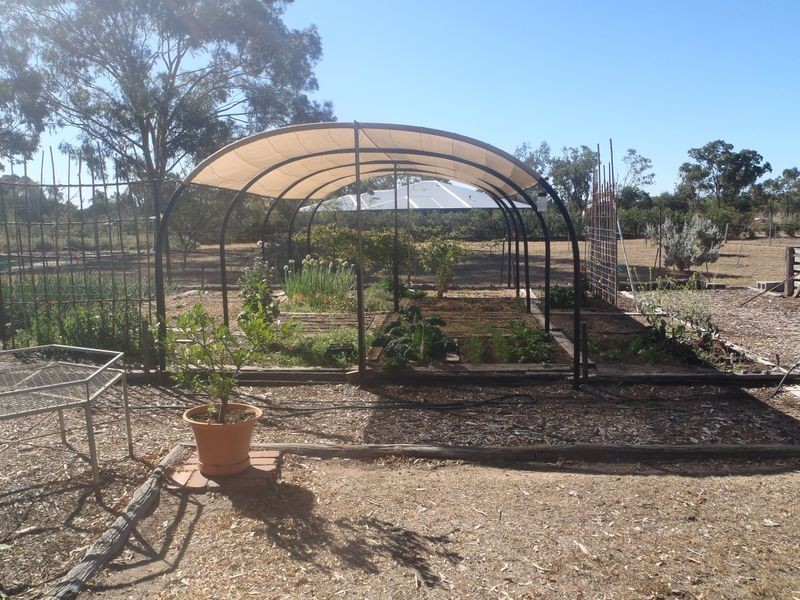 100 Edwardes Street, Roma QLD 4455