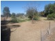 100 Edwardes Street, Roma QLD 4455