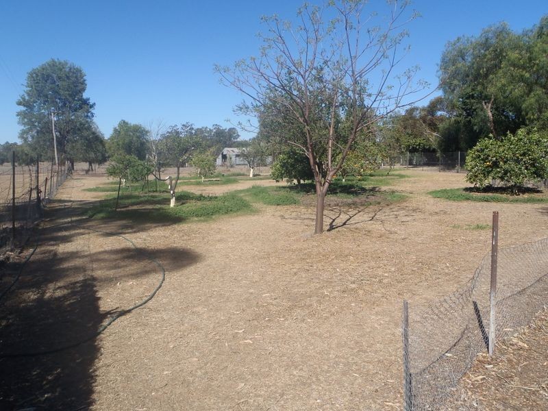 100 Edwardes Street, Roma QLD 4455