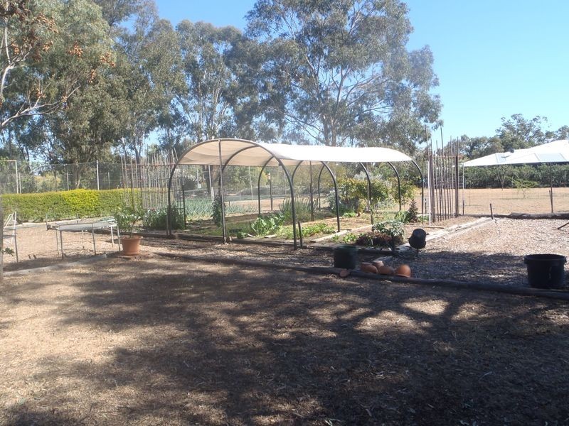 100 Edwardes Street, Roma QLD 4455