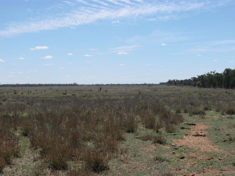 L1 Tambo Road, Augathella QLD 4477