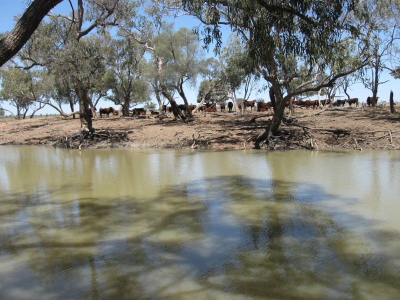 L1 Tambo Road, Augathella QLD 4477