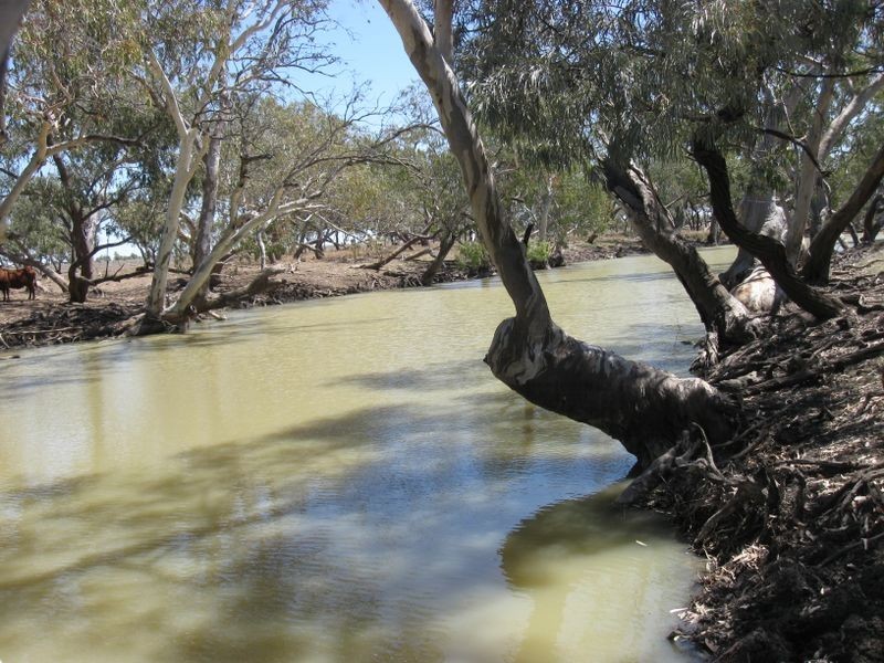 L1 Tambo Road, Augathella QLD 4477