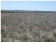 L1 Tambo Road, Augathella QLD 4477