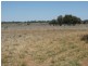 L1 Tambo Road, Augathella QLD 4477