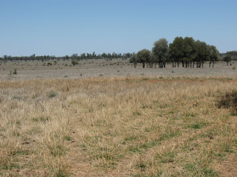 L1 Tambo Road, Augathella QLD 4477