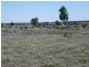 L1 Tambo Road, Augathella QLD 4477
