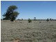 L1 Tambo Road, Augathella QLD 4477