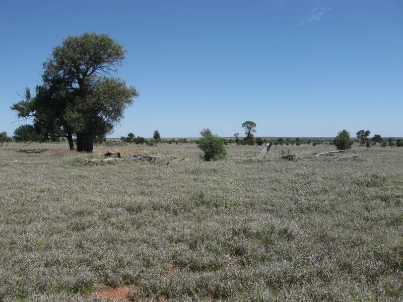 L1 Tambo Road, Augathella QLD 4477