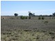L1 Tambo Road, Augathella QLD 4477