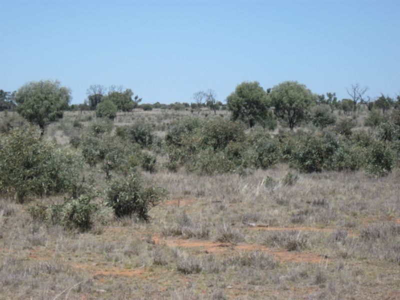 L1 Tambo Road, Augathella QLD 4477