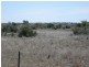 L1 Tambo Road, Augathella QLD 4477