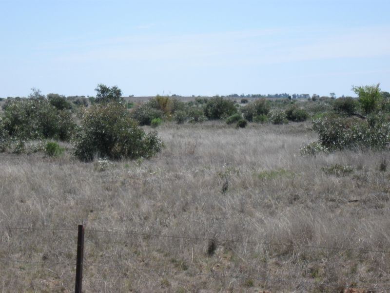 L1 Tambo Road, Augathella QLD 4477