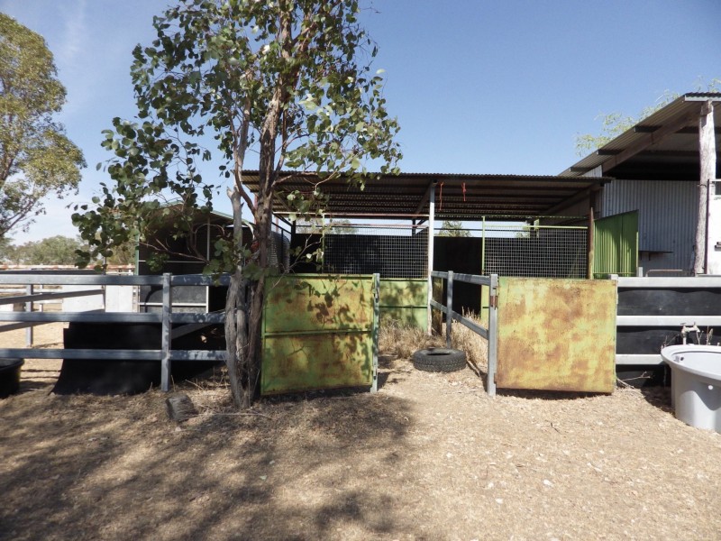 534 Carnarvon Highway, Injune QLD 4454