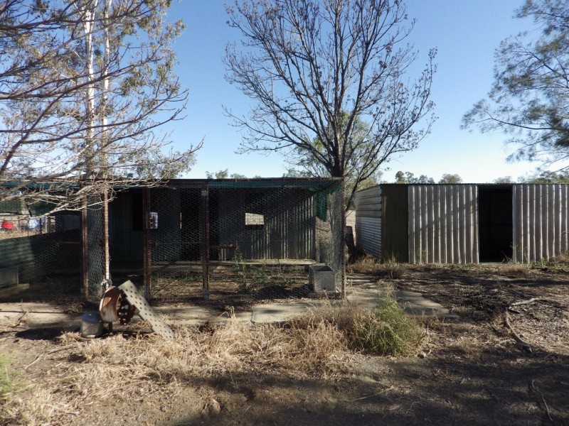 296 Roma Downs Road, Roma QLD 4455