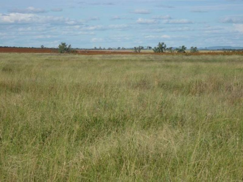 L347 Massey Lane, Muckadilla QLD 4461