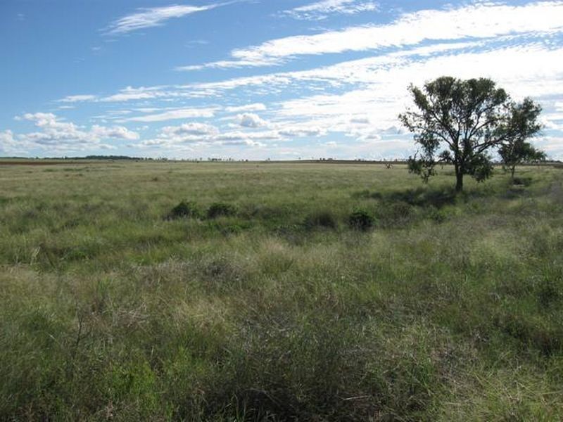 L347 Massey Lane, Muckadilla QLD 4461