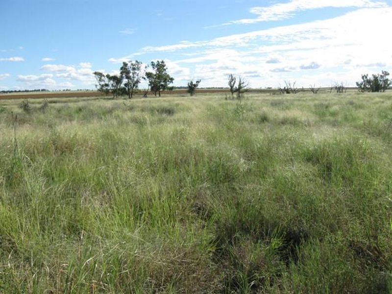 L347 Massey Lane, Muckadilla QLD 4461