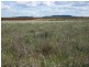 L347 Massey Lane, Muckadilla QLD 4461