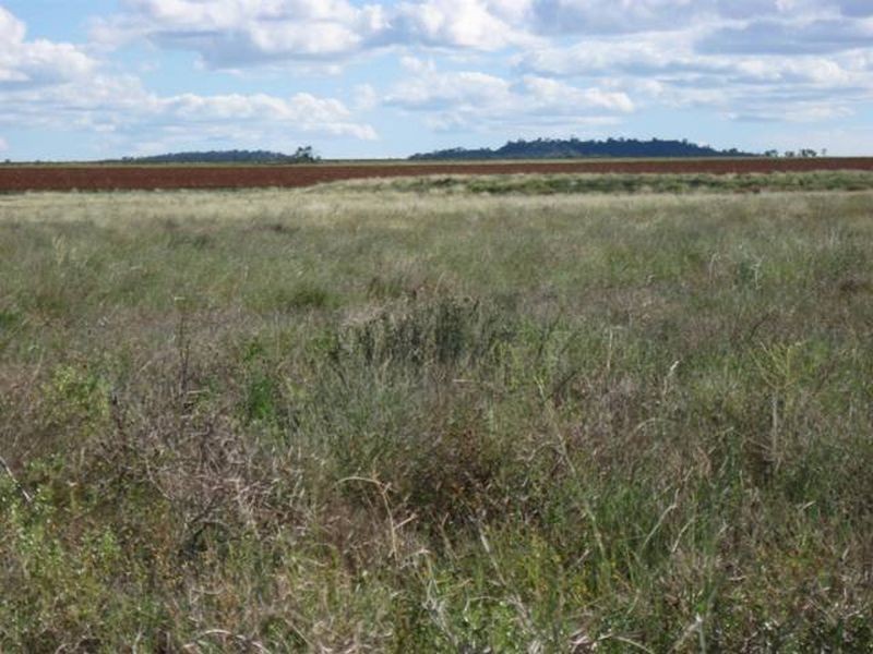 L347 Massey Lane, Muckadilla QLD 4461