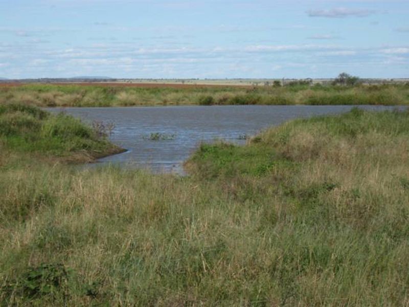 L347 Massey Lane, Muckadilla QLD 4461