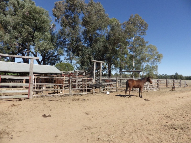 Lot 40, 81 Pinelands Road, Mitchell QLD 4465