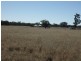 Lot 40, 81 Pinelands Road, Mitchell QLD 4465