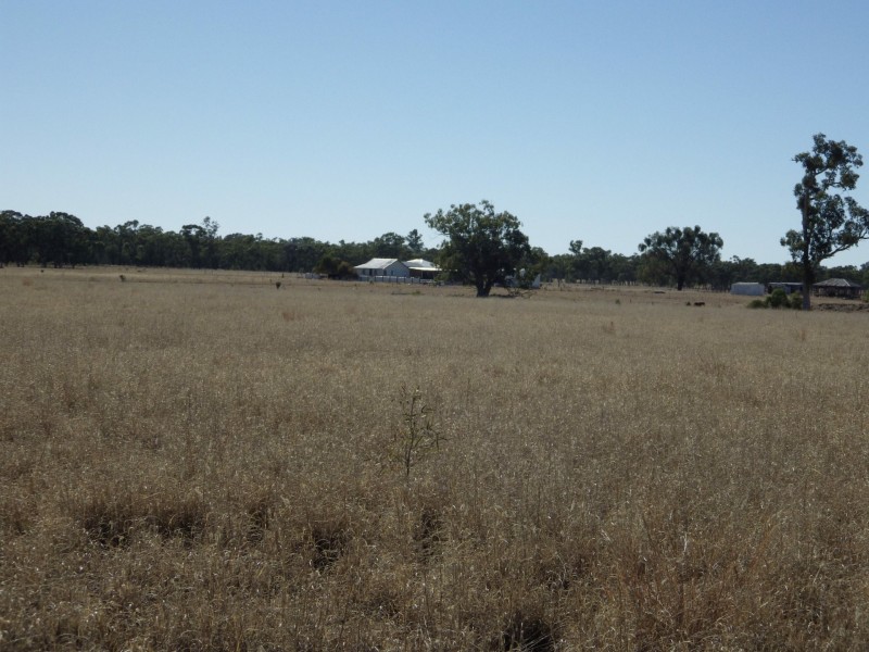 Lot 40, 81 Pinelands Road, Mitchell QLD 4465