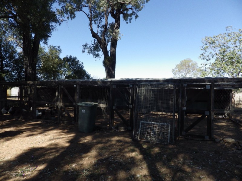 Lot 40, 81 Pinelands Road, Mitchell QLD 4465