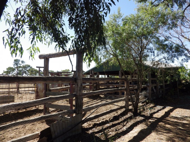 Lot 40, 81 Pinelands Road, Mitchell QLD 4465