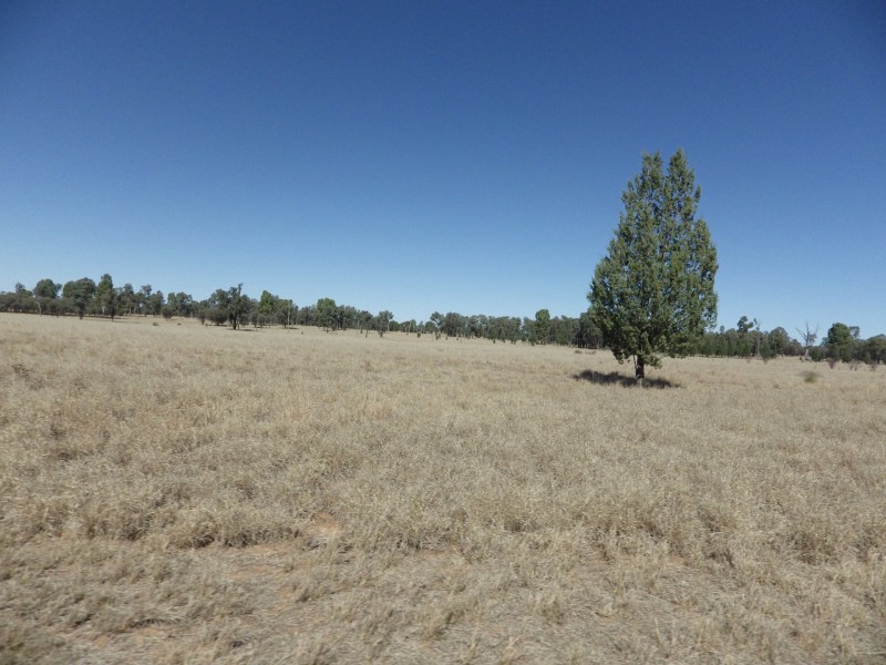 Lot 40, 81 Pinelands Road, Mitchell QLD 4465