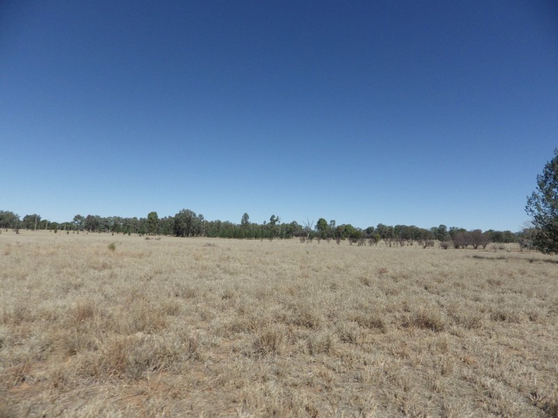 Lot 40, 81 Pinelands Road, Mitchell QLD 4465