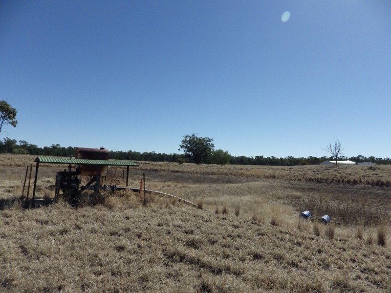 Lot 40, 81 Pinelands Road, Mitchell QLD 4465