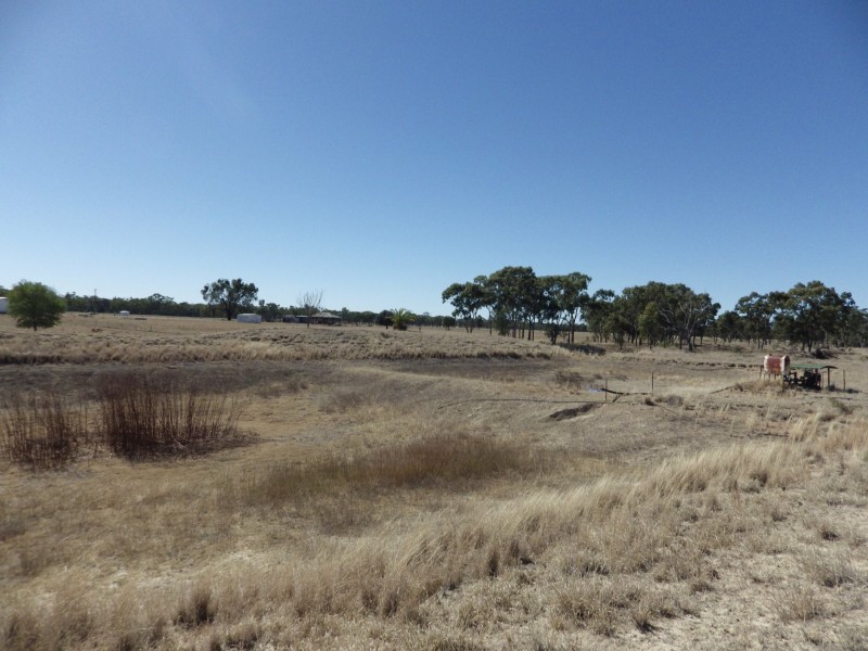 Lot 40, 81 Pinelands Road, Mitchell QLD 4465