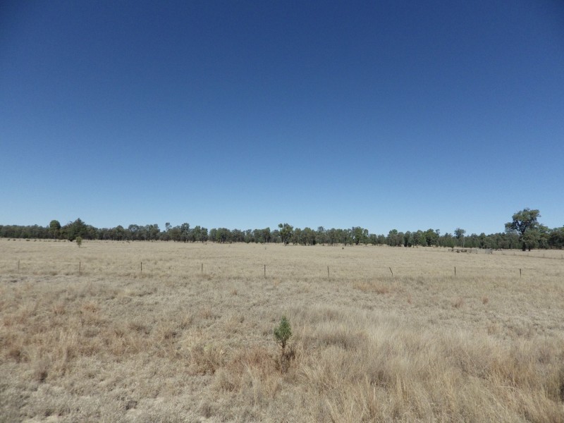 Lot 40, 81 Pinelands Road, Mitchell QLD 4465