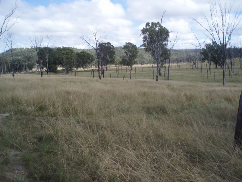 Yellowbank Road, Roma QLD 4455